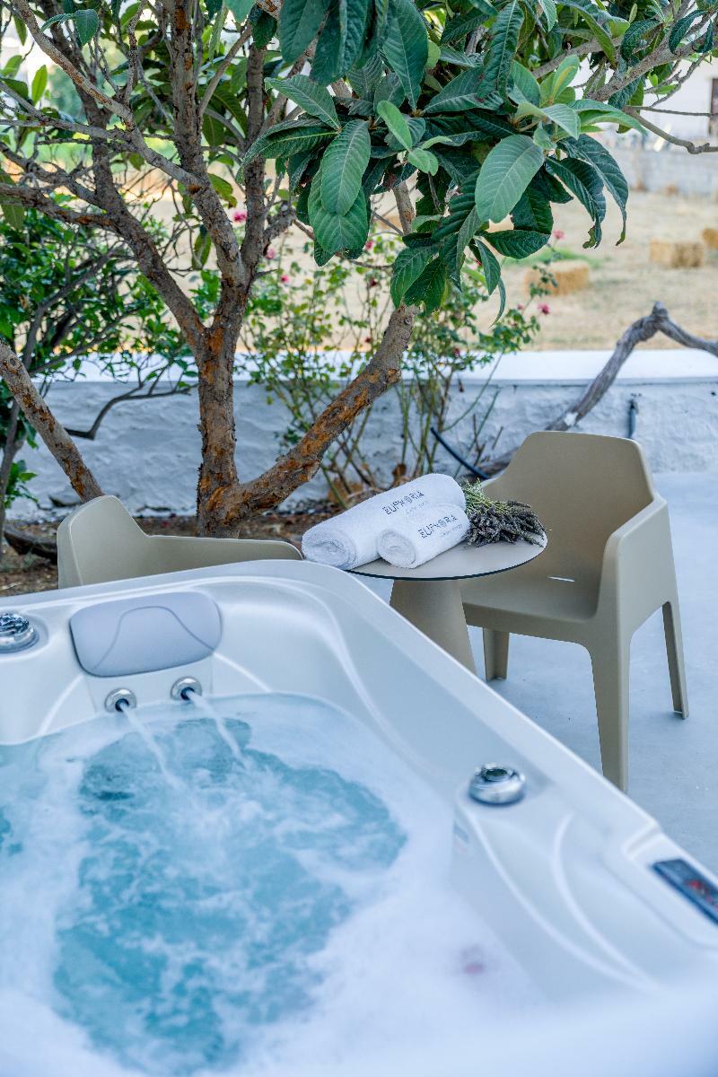 Aparthotel Euphoria Chora Naxos à Naxos City Extérieur photo